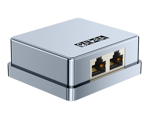 Dual Port-FTP Surface Mount Box